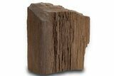 Permineralized Wood Covered In Sparkling Quartz - Germany #302184-2